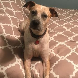 Shop with confidence!